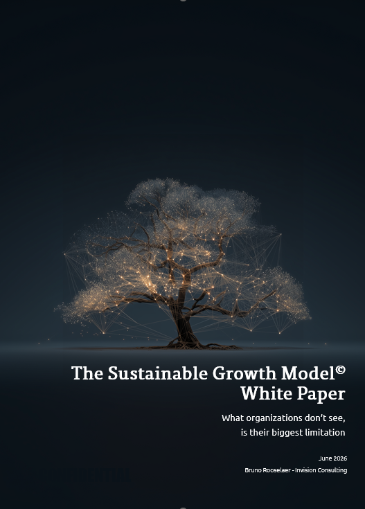 The Sustainable Growth Model - White paper